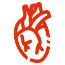 Logo Dr. Fernando Beltrán cardiólogo Tijuana
